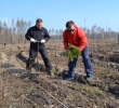 В Ряжском районе 80 гектаров выгоревших угодий засадят соснами