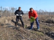 В Ряжском районе 80 гектаров выгоревших угодий засадят соснами